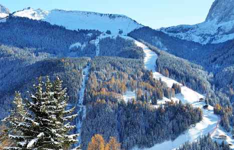 Ski slopes through the snowy forests of Val Gardena